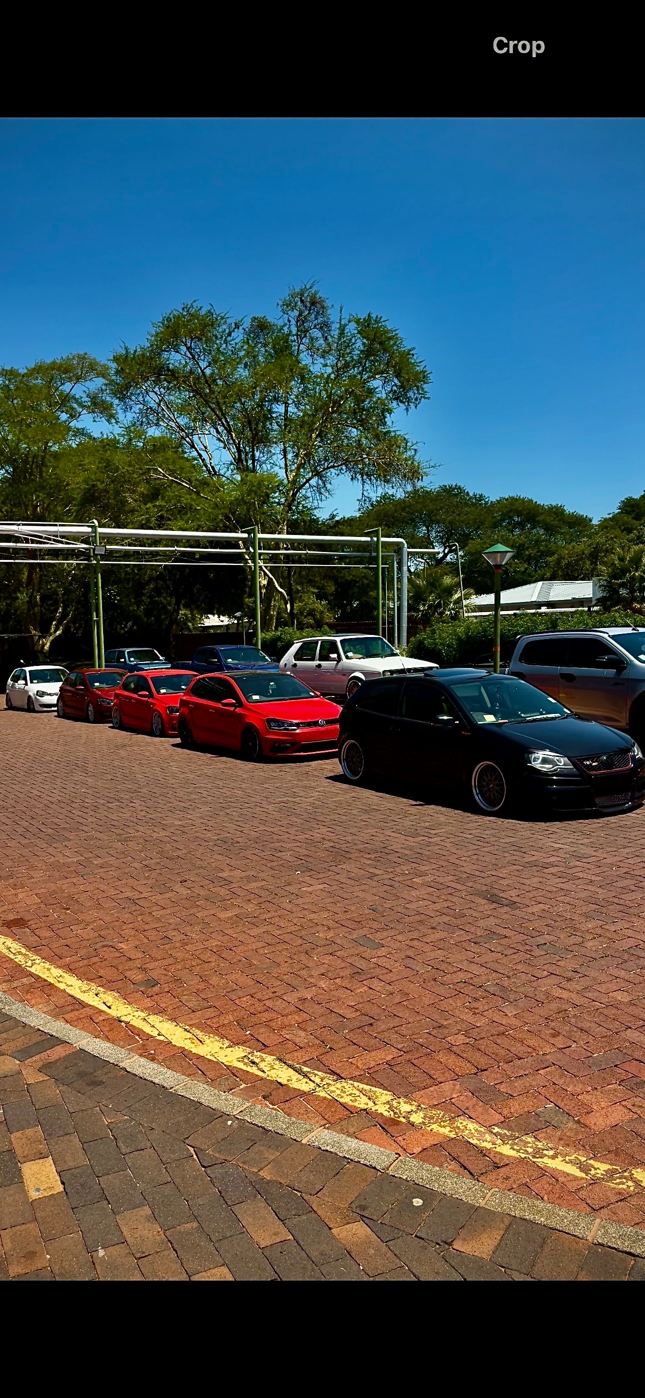 Slammed VWs at a car meet on air suspension